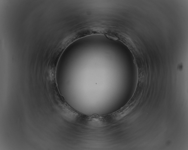 X0000090420285200707131215