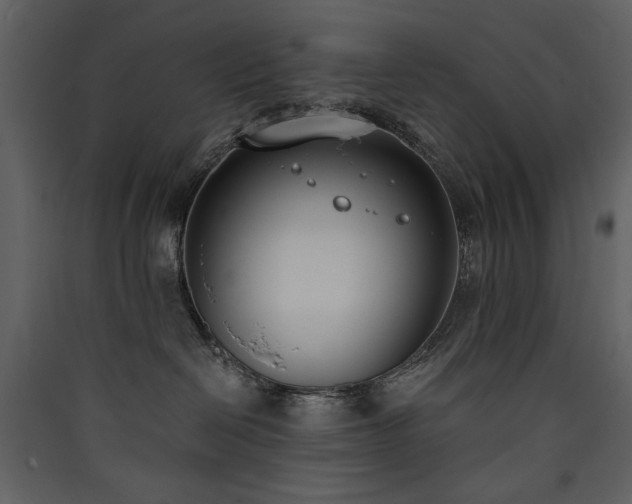 X0000090420286200707131215