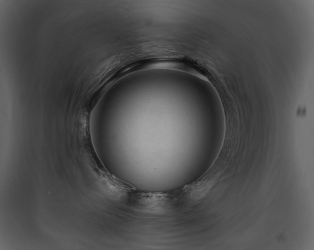 X0000090420288200707131215