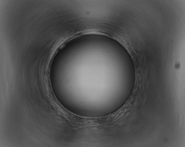 X0000090420289200707131214