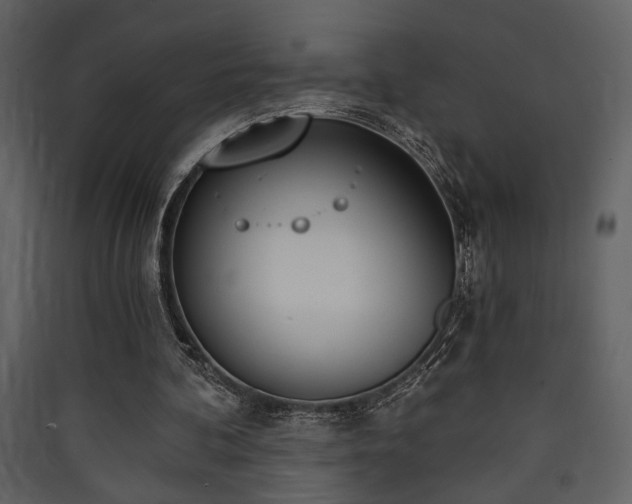 X0000090420292200707131214