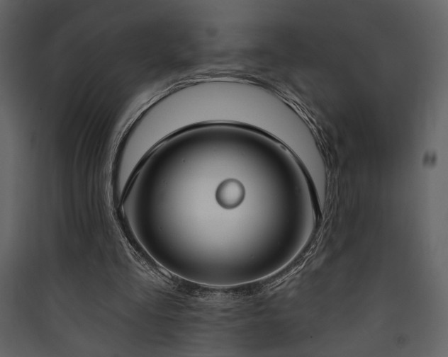 X0000090420293200707131214