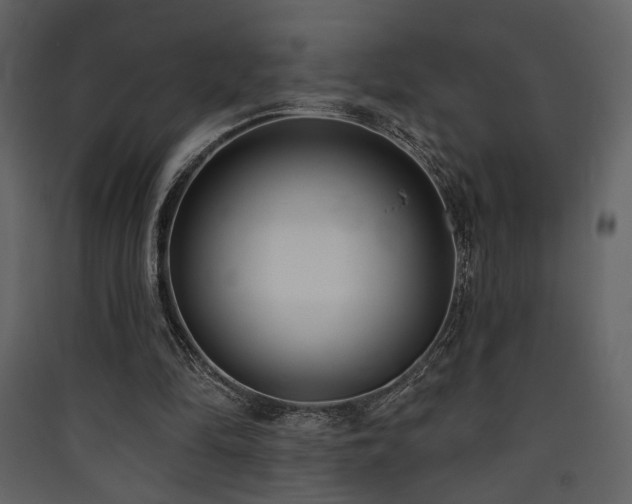 X0000090420294200707131214