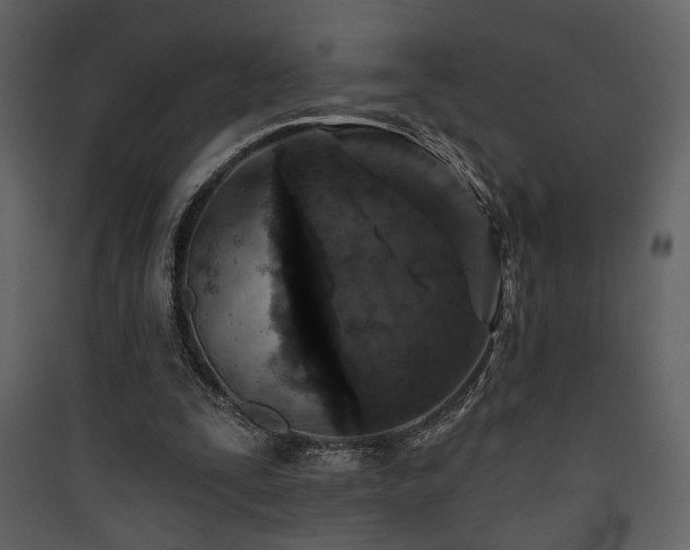 X0000090420295200707131214