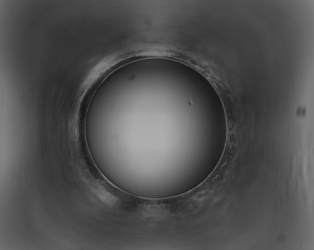X0000090420296200707131214