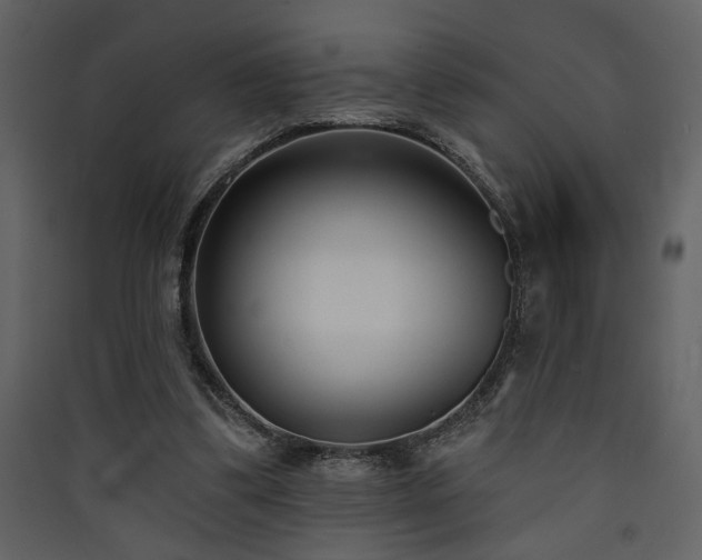 X0000090420299200707131214