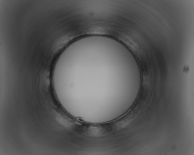 X0000090420302200707131214