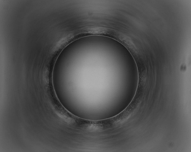 X0000090420303200707131214