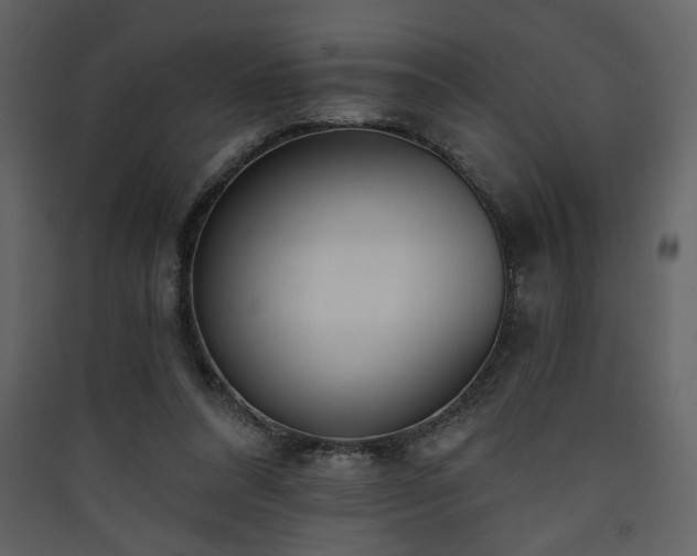 X0000090420304200707131214