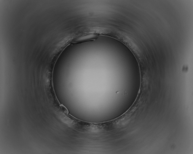 X0000090420305200707131214