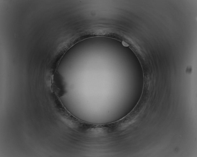 X0000090420307200707131214