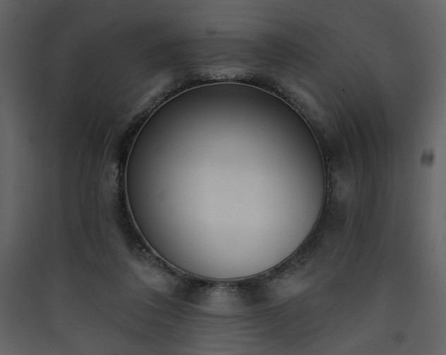 X0000090420308200707131214