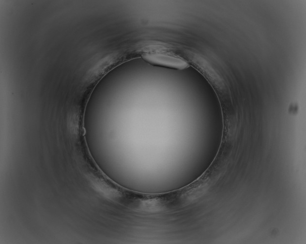 X0000090420309200707131214