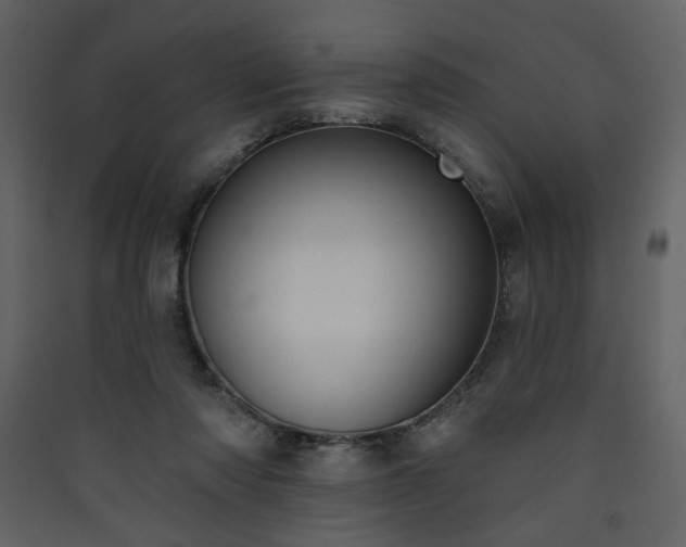X0000090420310200707131214
