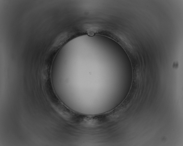 X0000090420311200707131214