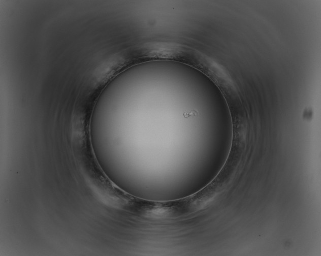 X0000090420312200707131214