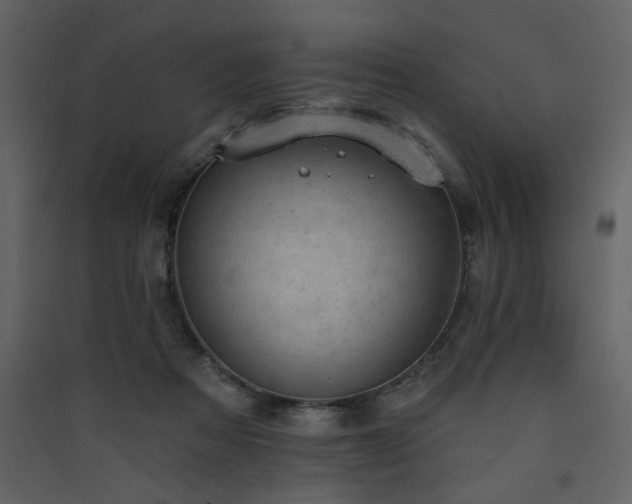 X0000090420313200707131214