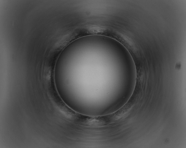 X0000090420315200707131214