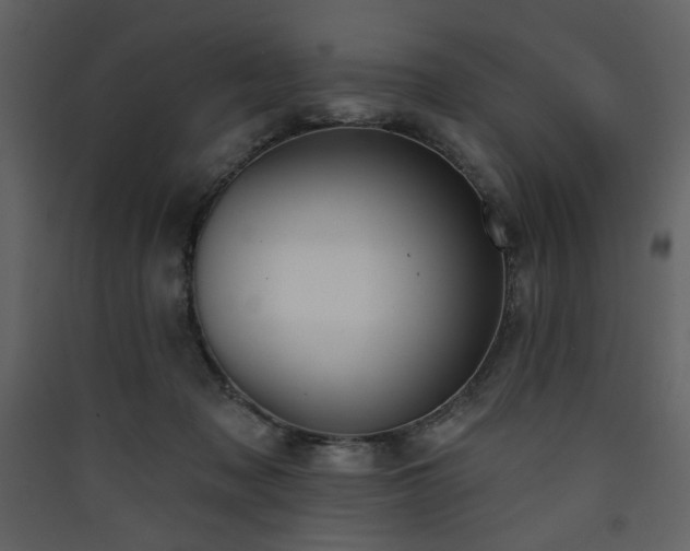 X0000090420317200707131214