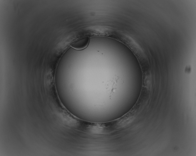 X0000090420318200707131214