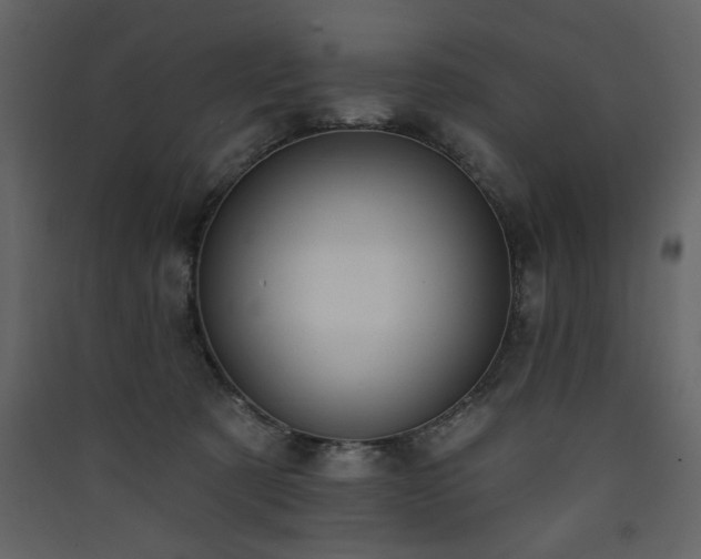 X0000090420321200707131214