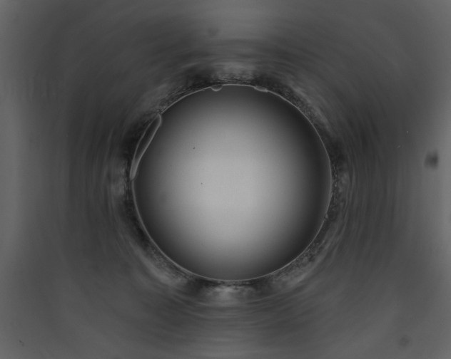 X0000090420323200707131214