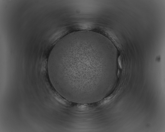 X0000090420325200707131214