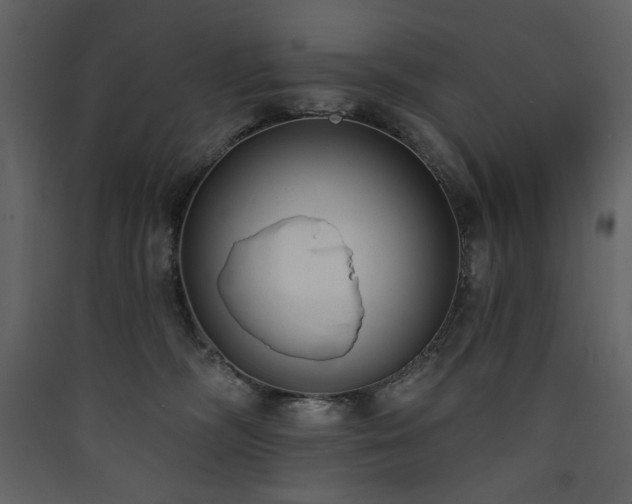 X0000090420326200707131214