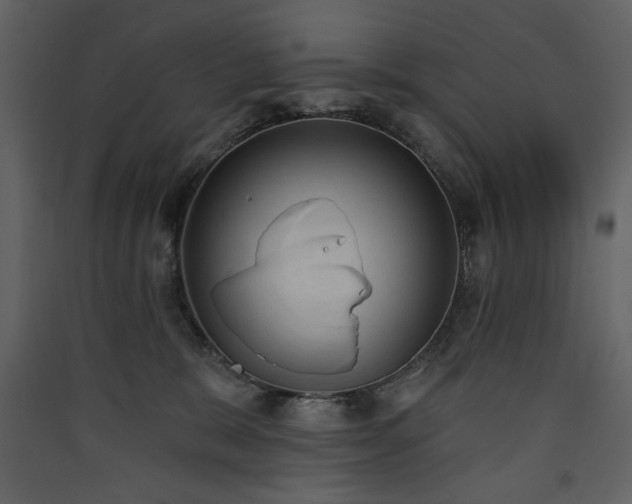 X0000090420327200707131214