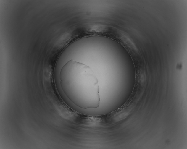 X0000090420328200707131214