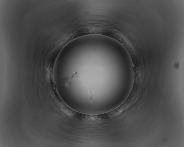 X0000090420329200707131214