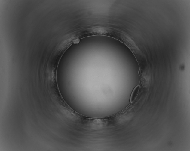 X0000090420330200707131214