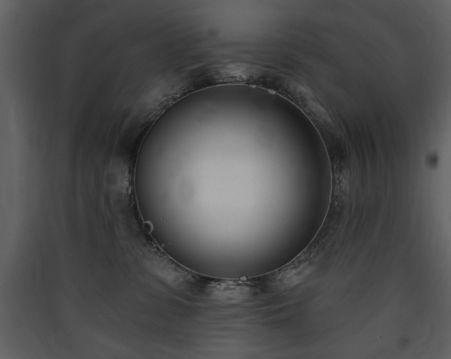 X0000090420331200707131214