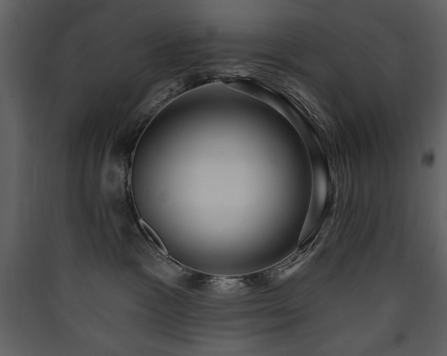 X0000090420333200707131214