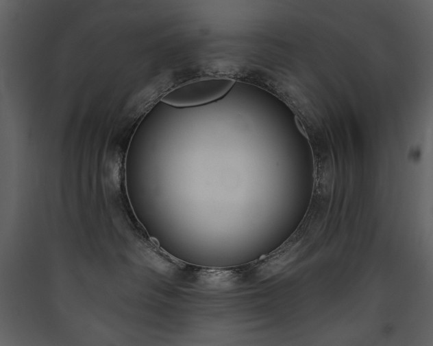 X0000090420334200707131214