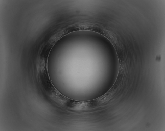 X0000090420335200707131214