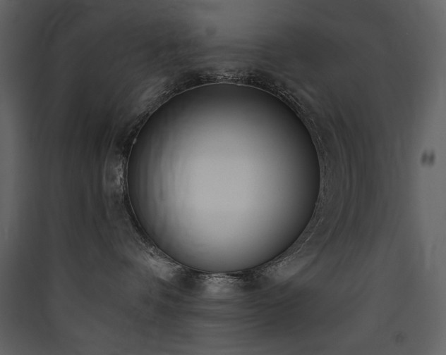 X0000090420336200707131214