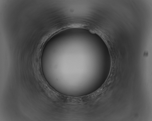X0000090420337200707131213