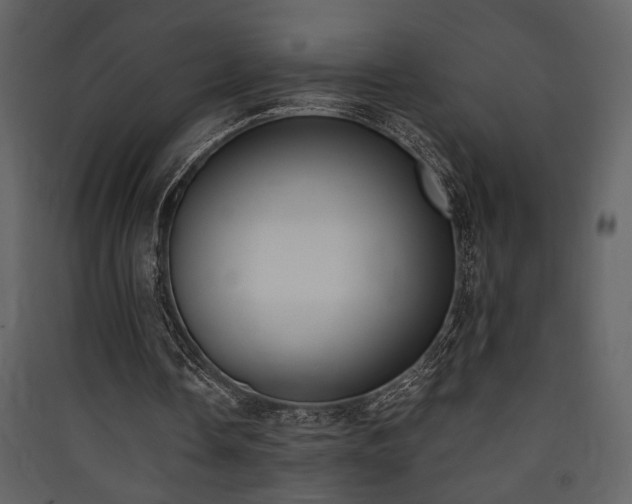 X0000090420338200707131213