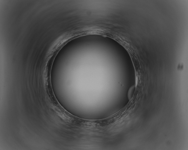 X0000090420339200707131213