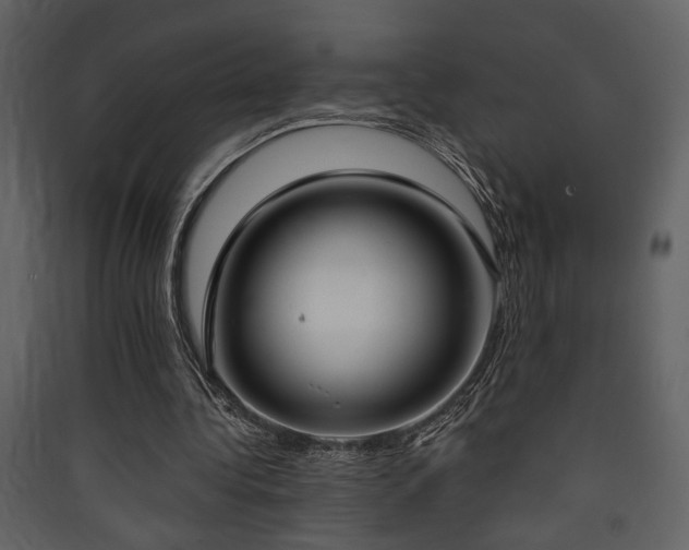 X0000090420340200707131213
