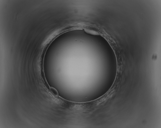 X0000090420341200707131213