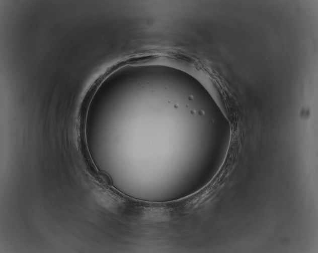 X0000090420342200707131213