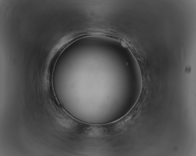 X0000090420343200707131213