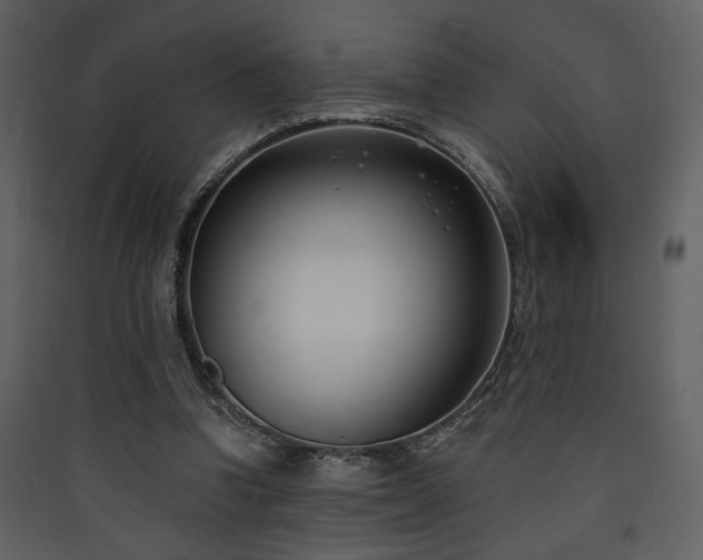 X0000090420346200707131213