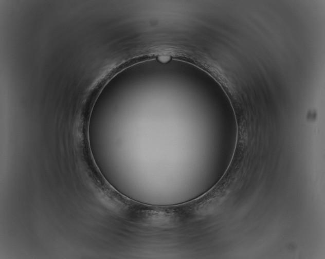 X0000090420347200707131213