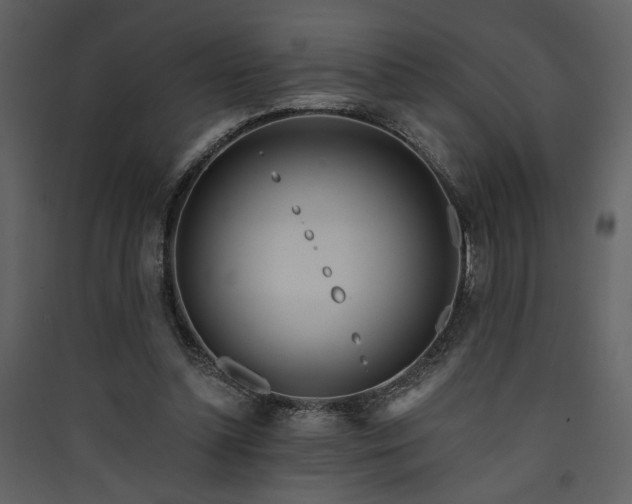 X0000090420348200707131213
