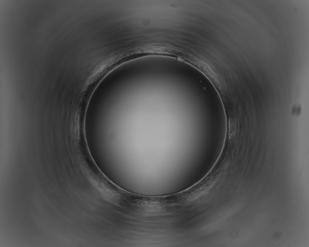 X0000090420349200707131213