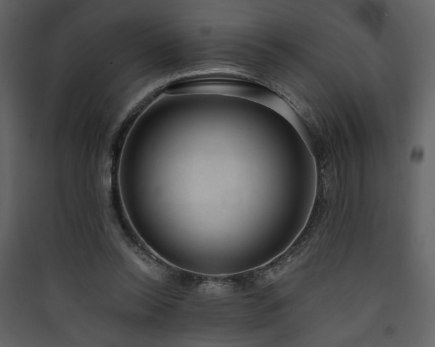 X0000090420350200707131213