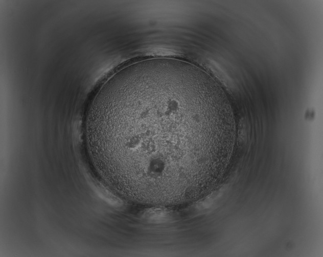 X0000090420351200707131213